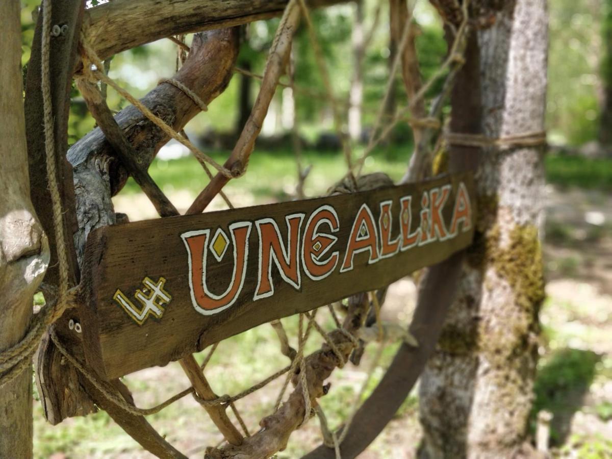 Uneallika Hubane Saunaga Majake 